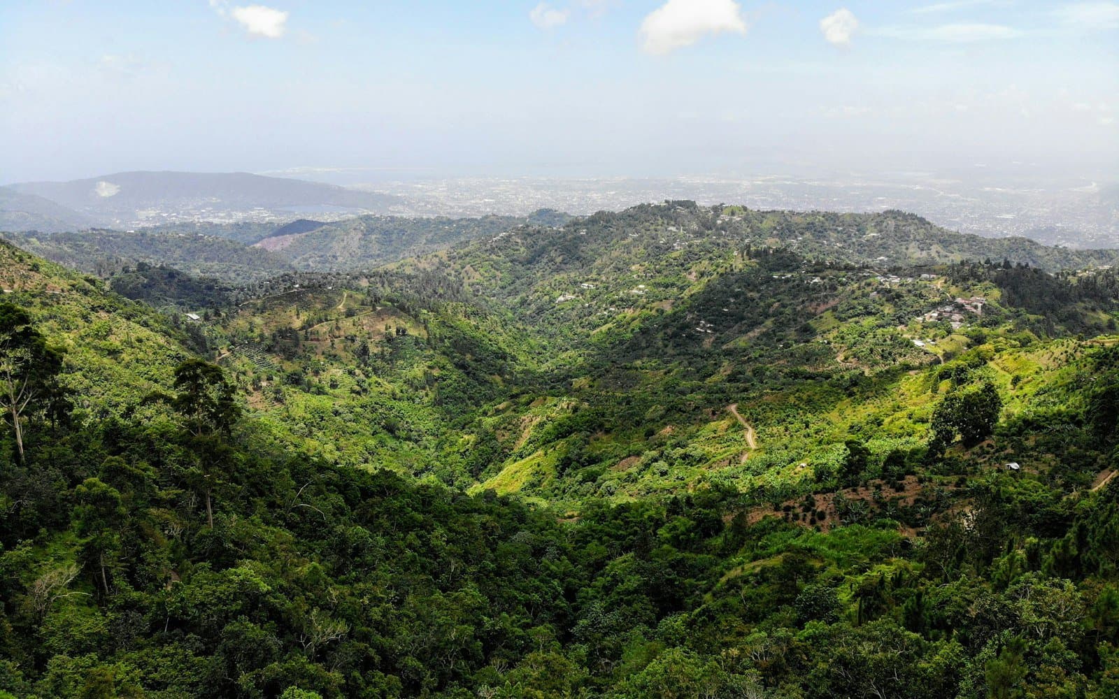 Green hills above a Jamaican parish looking toward the coast